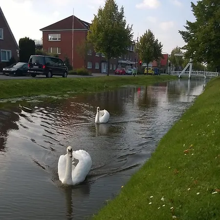 מלון Stoevchen Cafe 3*