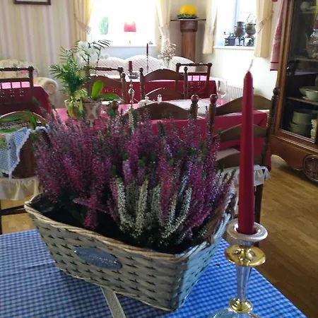 Hotel Stoevchen Café 3*